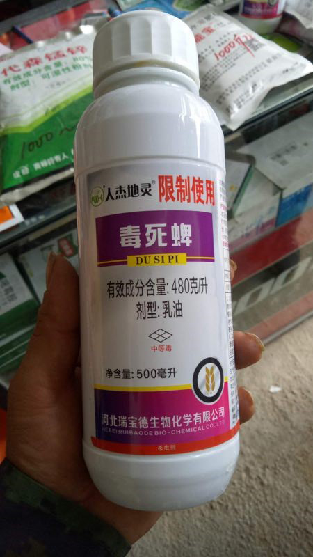 Chlorpyrifos insecticide