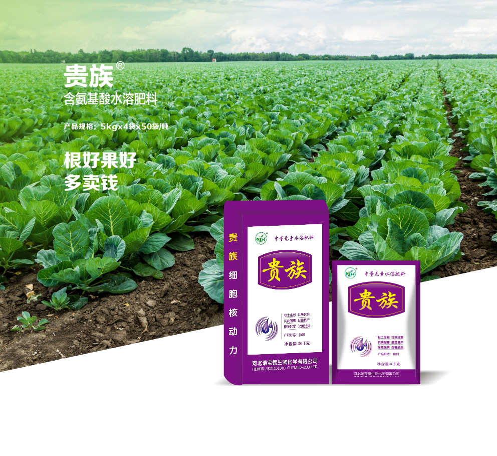 Amino acid-containing water-soluble fertilizer DP